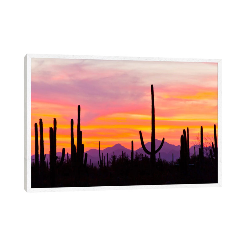 Saguaro Cacti At Sunset I, Saguaro National Park, Sonoran Desert, Arizona, USA by Cathy & Gordon Illg - Floater Frame Print on Canvas