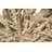 Cast Naturals Abstract Coffee Table-49891859