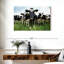 Brampt Holstein-106300422