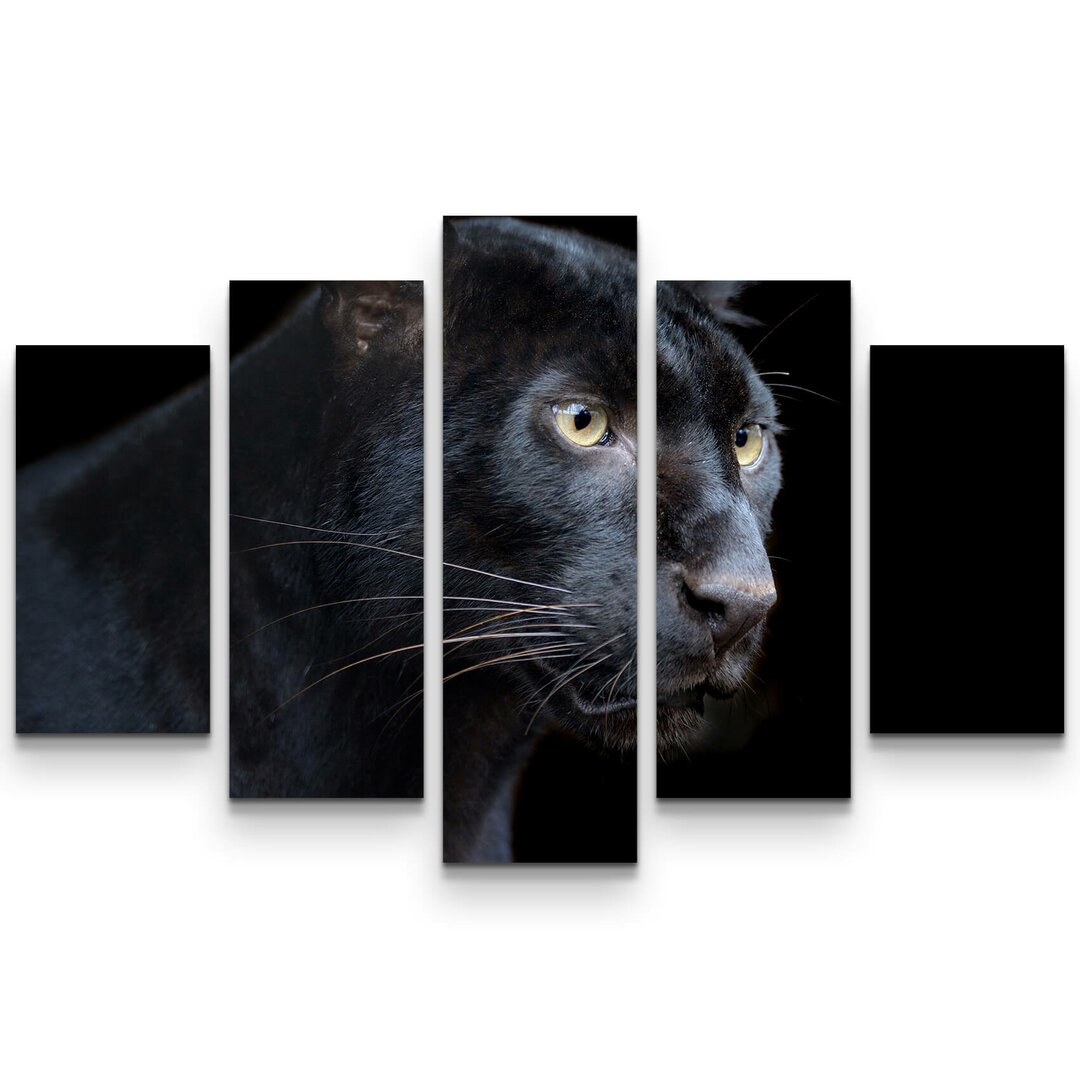 5-tlg. Leinwandbilder-Set Schwarzer Panther auf schwarzem Hintergrund