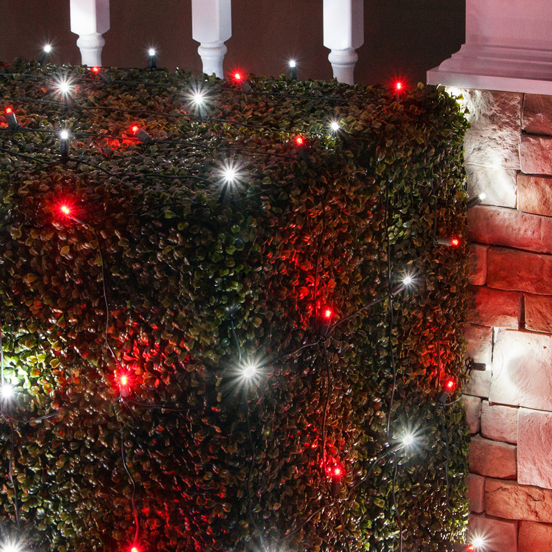 100 Lamps LED Christmas Twinkle Net Light The Holiday Aisle® 