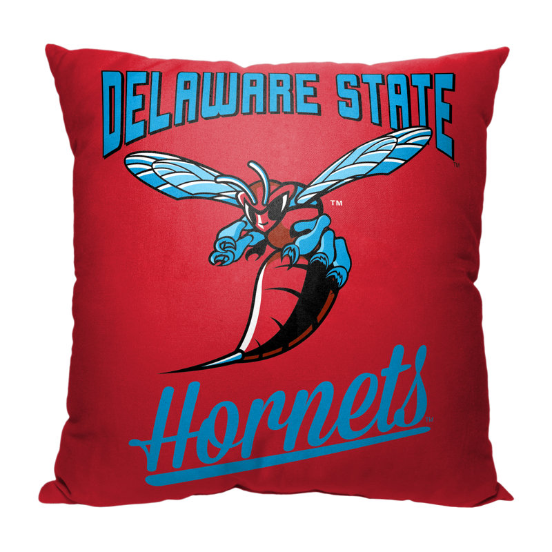 Pillow Cover, Delaware State University