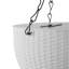 Pot Planter-2038977496