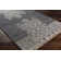 Aljoscha Southwestern Indoor Rug