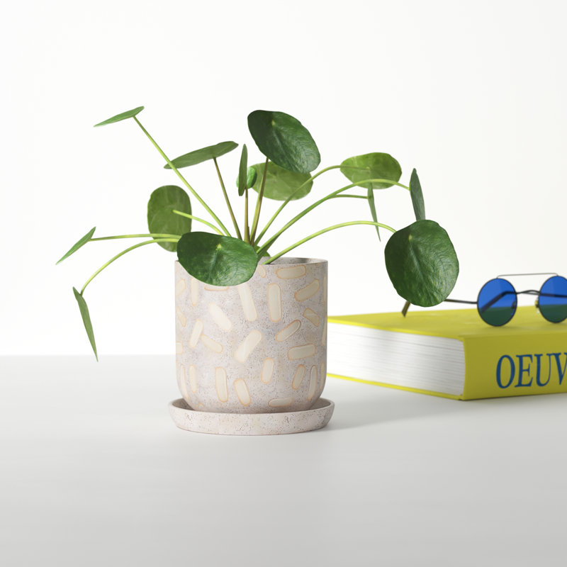 Catarine Ceramic Pot Planter, White