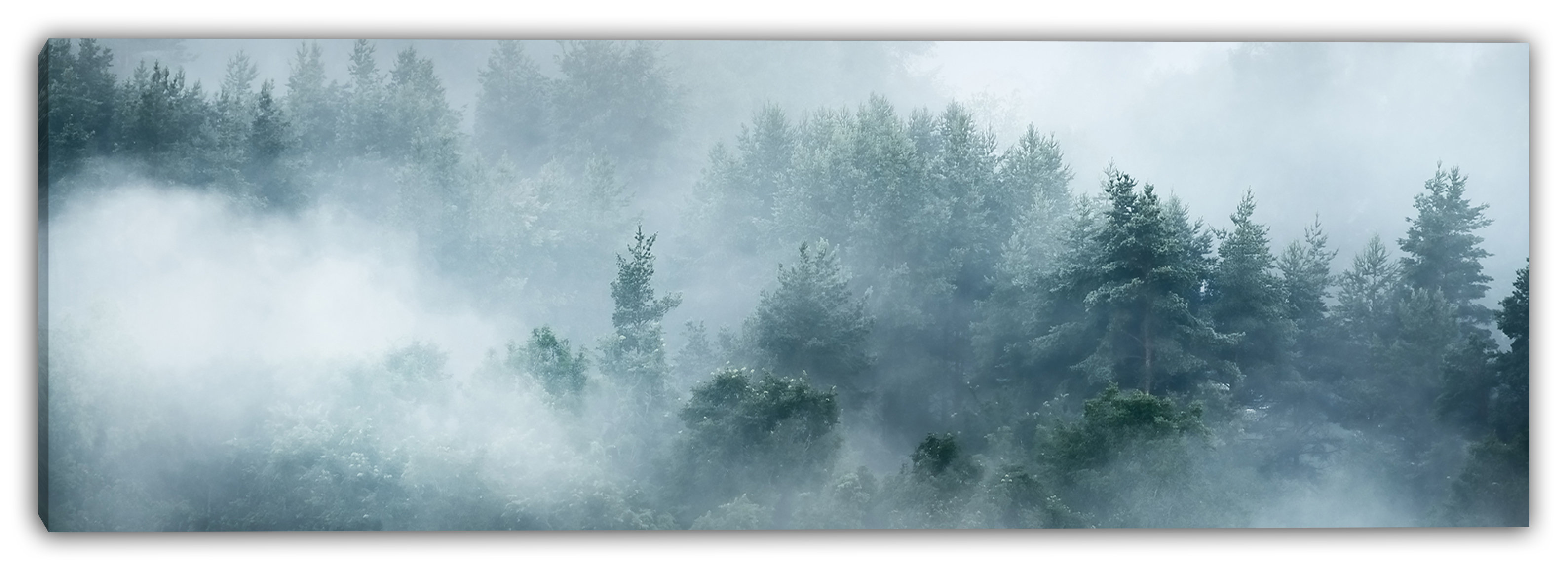 Millwood Pines Misty Pine Forest Canvas Art | Wayfair