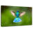 Brampt Flying Violetear Hummingbird-108815947