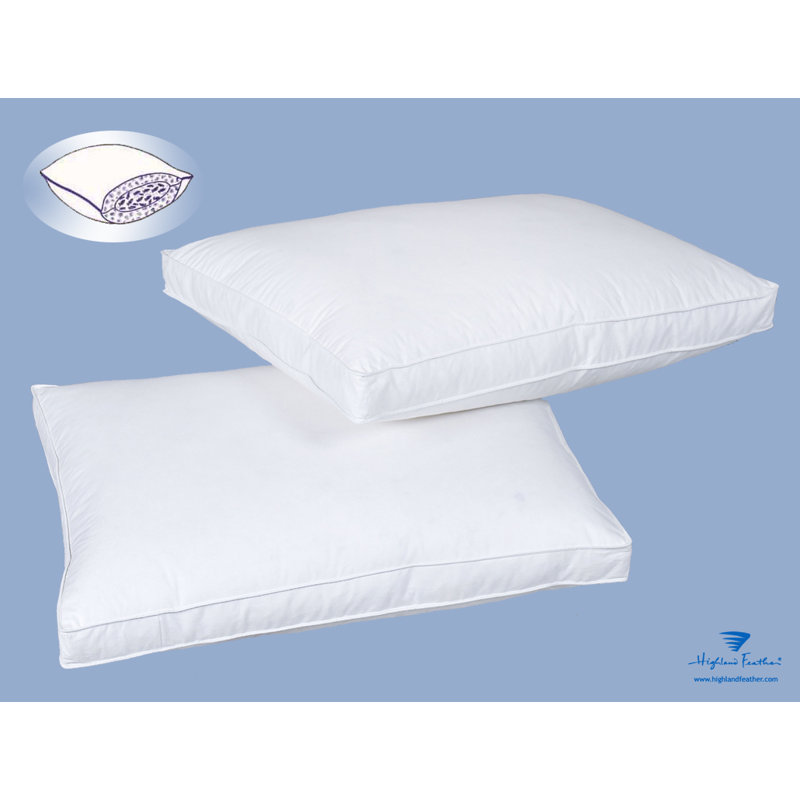Duvet de canard blanc Downtouch 550, Grand