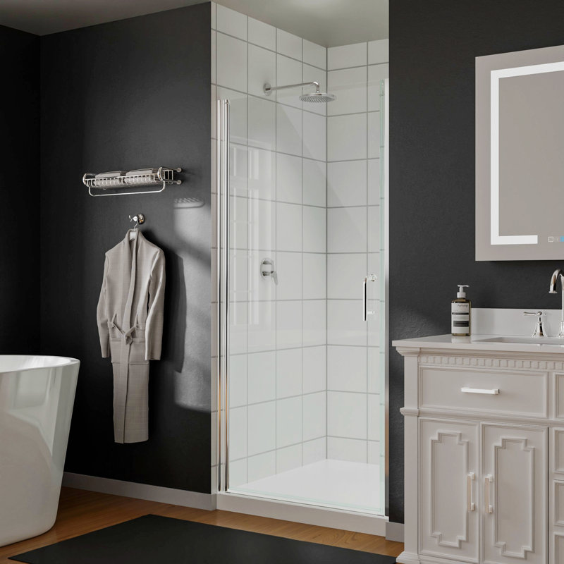 Porte de douche l 24 po x H 72 po avec