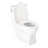Carraway 1.28 GPF One Piece Elongated Chair Height Toilet