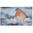 Printed Doormat (Robin)