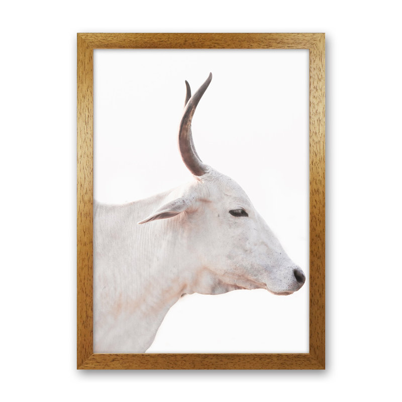 White Cow II by Victoria Frost - Print, 46cm H x 34cm W x 3cm D, Oak Framed