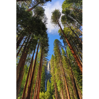 " Yosemite Falls " by Mariuszblach