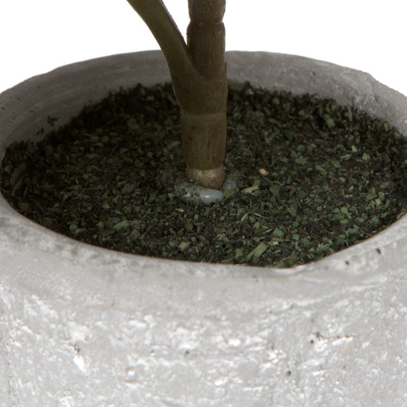 Primrue 11 po rouge et vert figuier artificiel en pot, Rouge / vert
