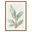 Gingembre II - reproduction d'art-55542002-55542001