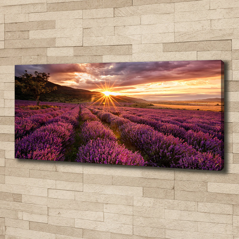 Lavender Field - Wrapped Canvas Print