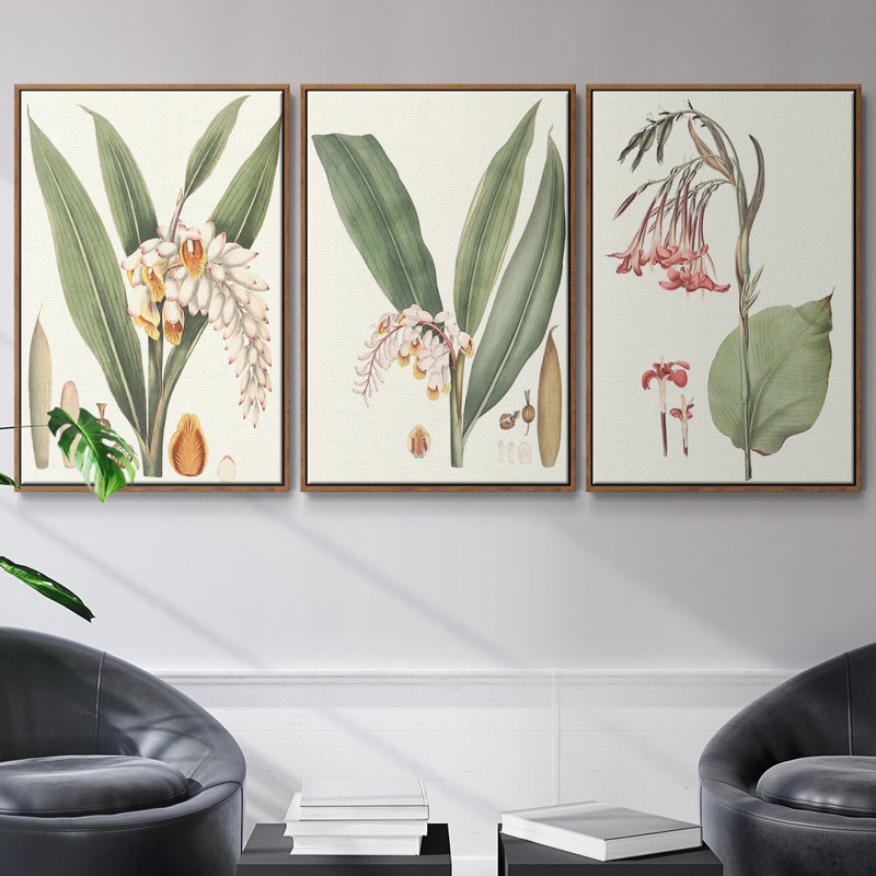 «Soft Tropical I», ensemble de 3 toiles encadrées, Noyer, H 36 po x l 72 po