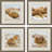 Beachy Shells Framed Art