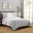 Ensemble de housse de couette en coton standard gris 3 pièces-66479419