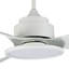 Oxfield 137cm Ceiling Fan with LED Lights-900516394