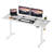 Oishee Electric Adjustable Standing Desk-1679924622-1698230358