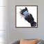 Apple Dapple Darwin by Shirley Macarthur - Floater Frame Print on Canvas-1884002178-1884002187