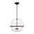 Natavius 4-Light Convertible Semi-Flush or Pendant in Matte Black-1783139596