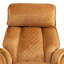 Alshawn Swivel Recliner-1875524629