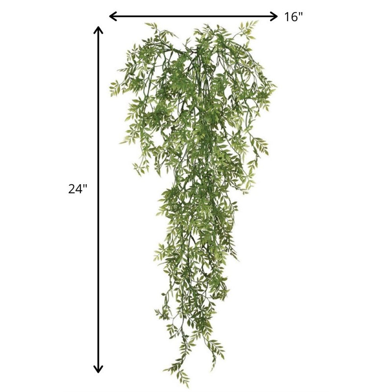 Vigne Wisteria Spary