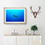 Swimming Turtle - Picture Frame Painting Print-55616790-55616786