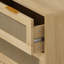 Tiroirs avec tiroir et armoire de rangement en rotin, pour chambre à coucher, salon