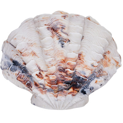 Lampe de table coquille festonnée en résine, prête pour ampoules DEL et RVB