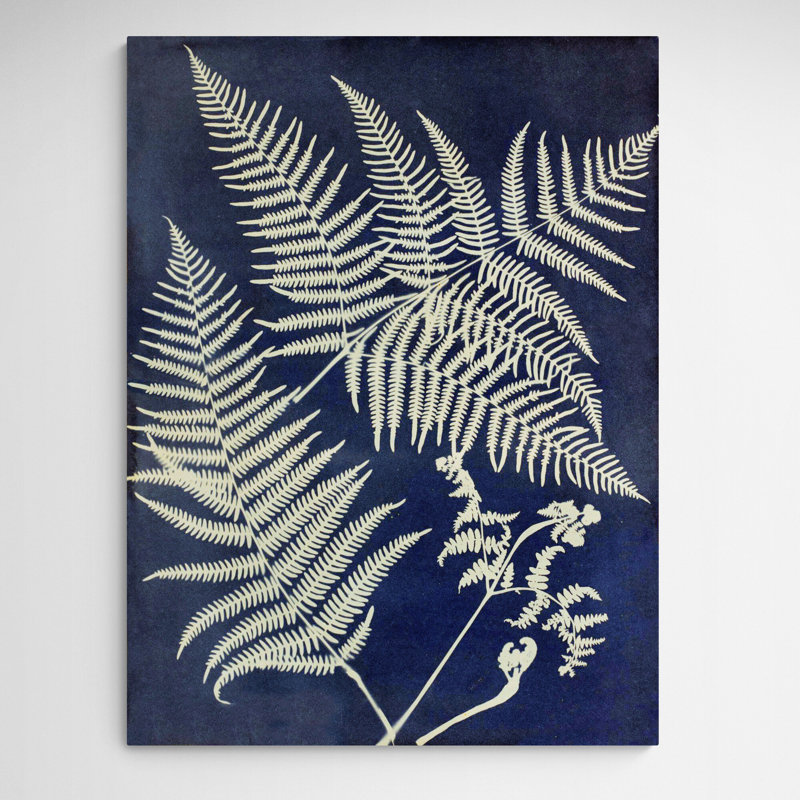 Eagle Fern by Anna Atkins - Wrapped Canvas Painting, 81cm H x 61cm W x 3.81cm D
