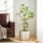 120CMARTIFICIAL PIERIS TREE
