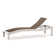 Bazza Outdoor Chaise Lounge