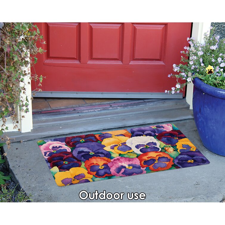 Lark Manor Apoloniusz Outdoor Doormat & Reviews