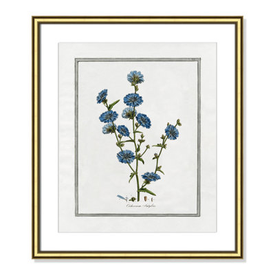 Colombe Soft Botanical I - Framed Art Full Bleed