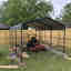 Photos des clients 1 de 1