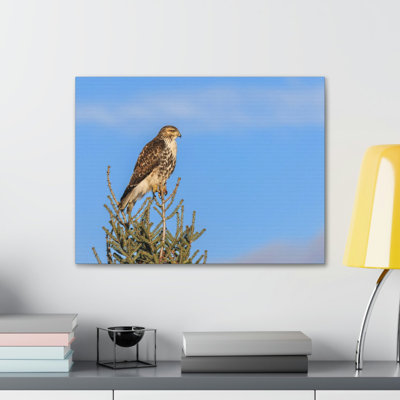 Majestic Buzzard Art Majestic Buzzard Print Animal Wall Art