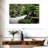 Harnek Bonsai Trees-107869961