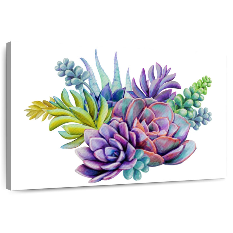 Plantes grasses colorées Harnek, H 16 po x l 24 po