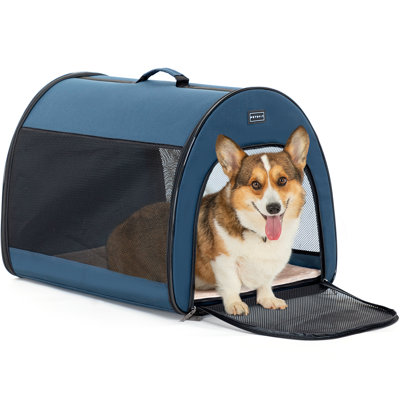 Caisse pour animaux