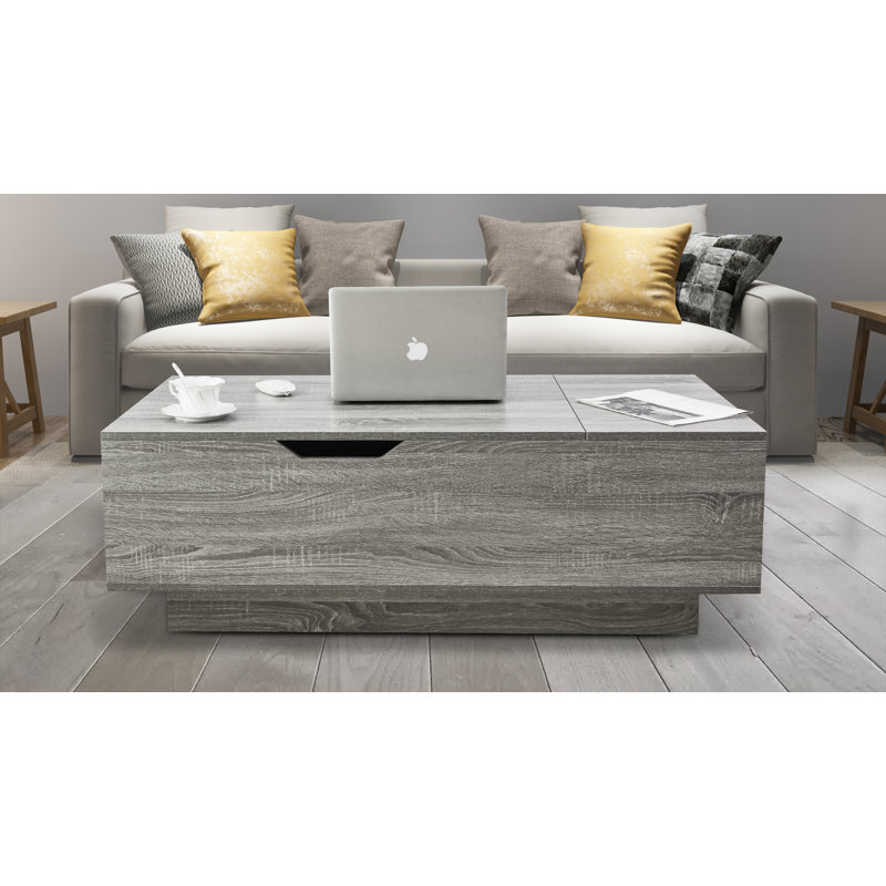 Table basse avec rangement Brynlin, Gris