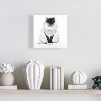 Blue Eyes Fluffy Siamese Cat Canvas | Home Decor Wall Art