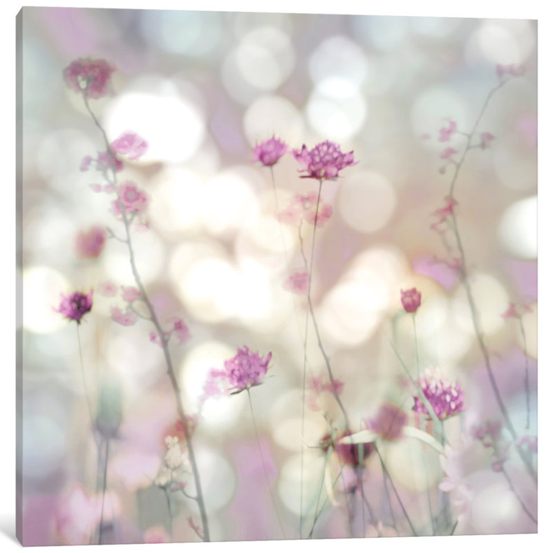 Floral Meadow II par Kate Carrigan - Giclée sur toile tendue avec châssis, H 16 po x l 16 po x P 1 po, Blanc