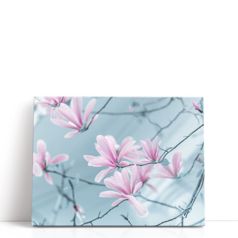 Magnolia Flowers - Canvas Print Wall Art, 18" H x 24" W