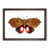 Walnut Framed selected