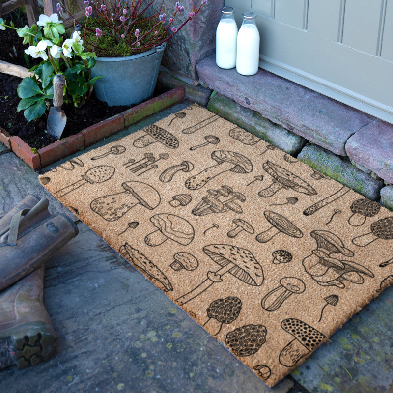 Non-Slip Indoor Doormat