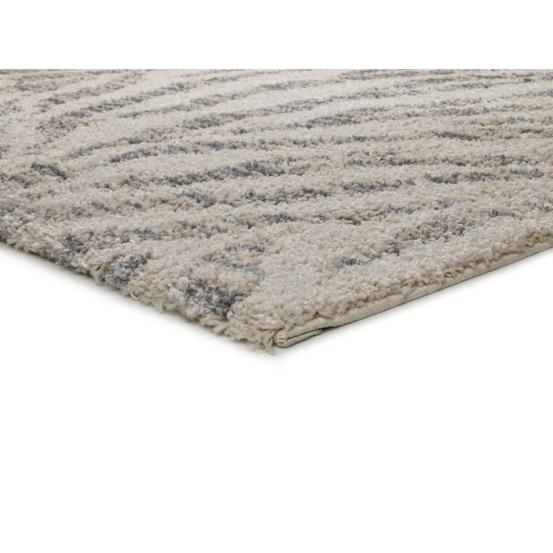 Animal Print Shag Area Rug, Rectangle 133 x 190cm