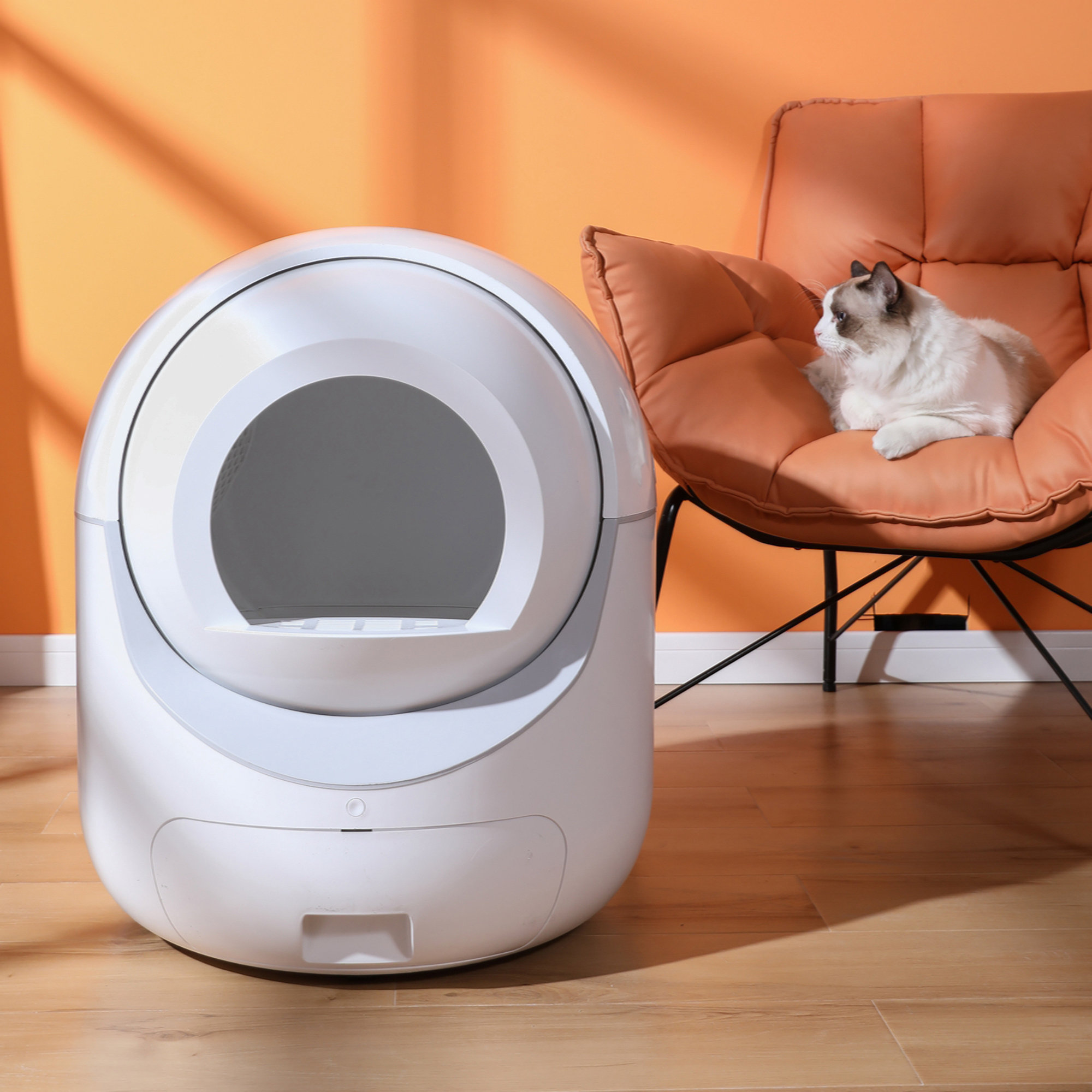 Wayfair Removal Go Peak Track Smart Automatic Cat Litter Box,Automatic Scooping And ...